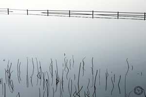 calm pond summer palace beijing photographed by Yonit Schiller © 2015 יונית שילר